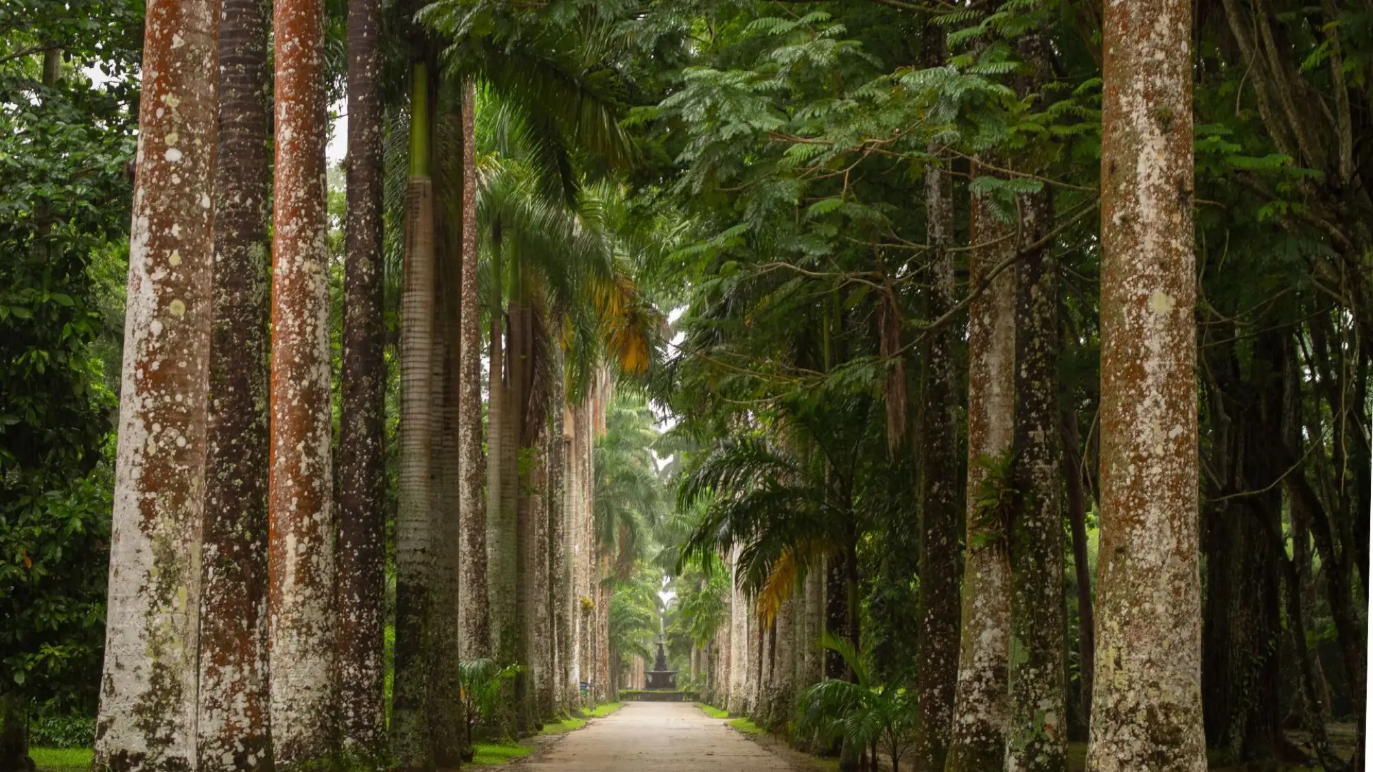 Jardim Botânico