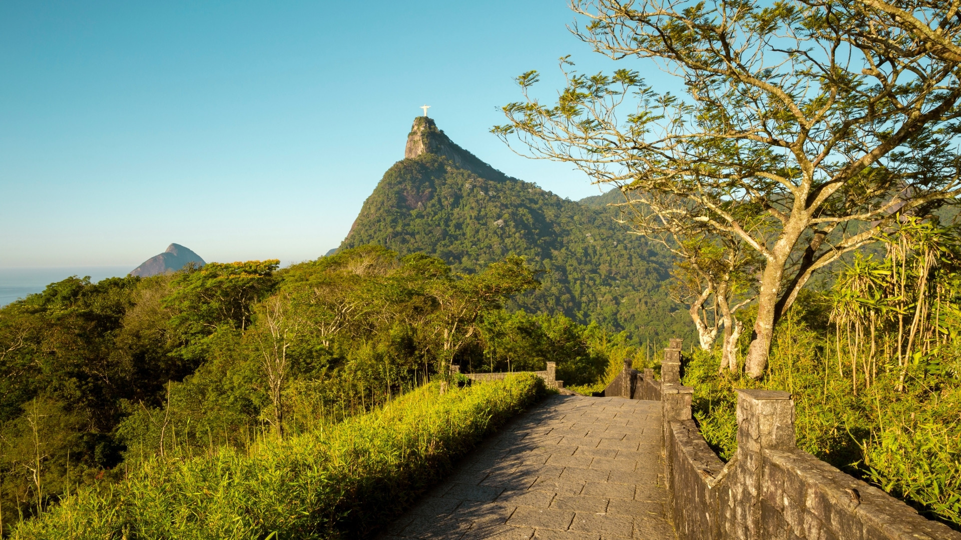 Tijuca National Park Bridge A bridge in Tijuca National Park surrounded by lush greenery, with Christ the Redeemer visible in the distant background.