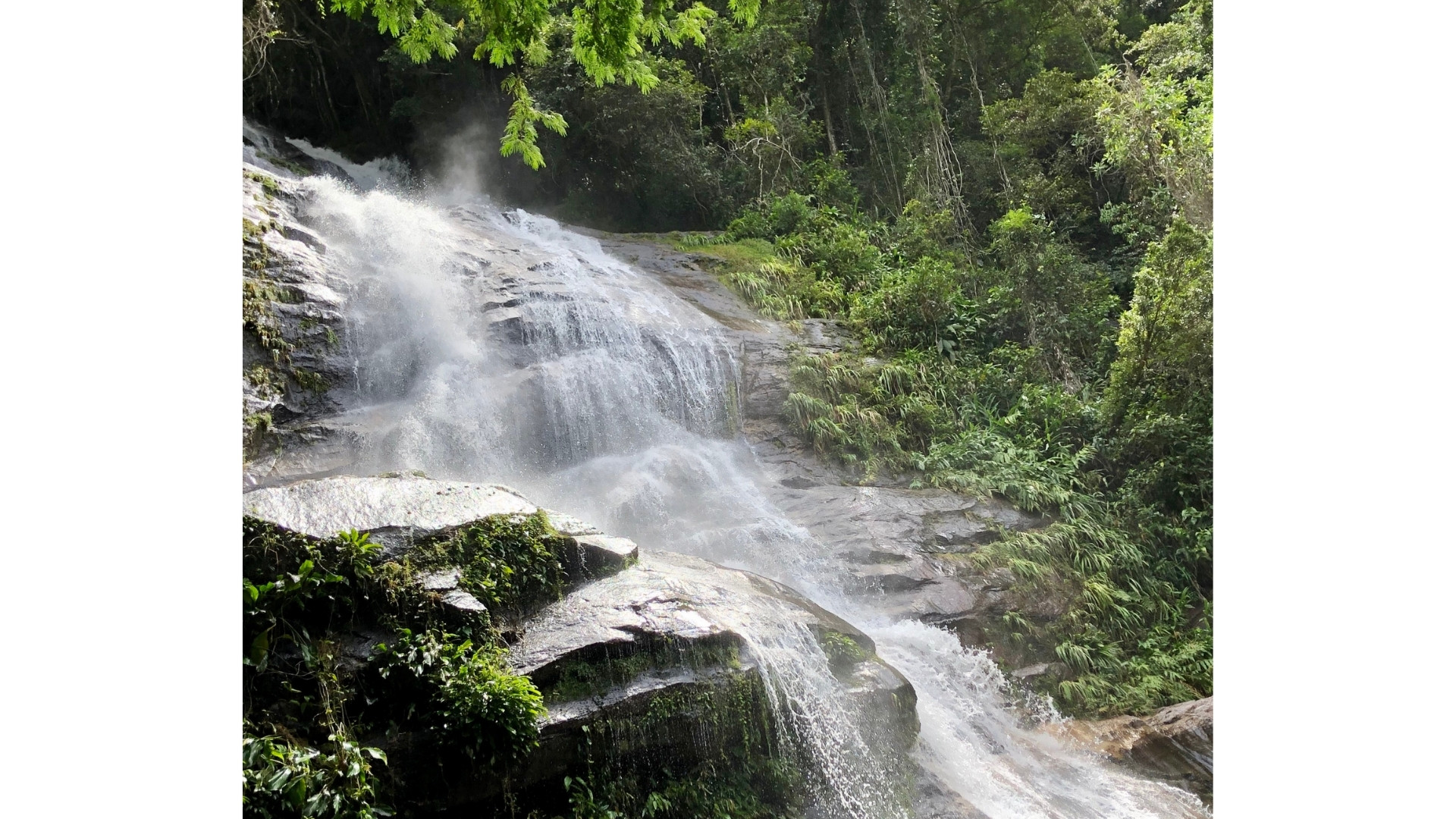 Tijuca National park waterfall A waterfall cascading down rocky cliffs, surrounded by the dense tropical greenery of Tijuca National Forest.