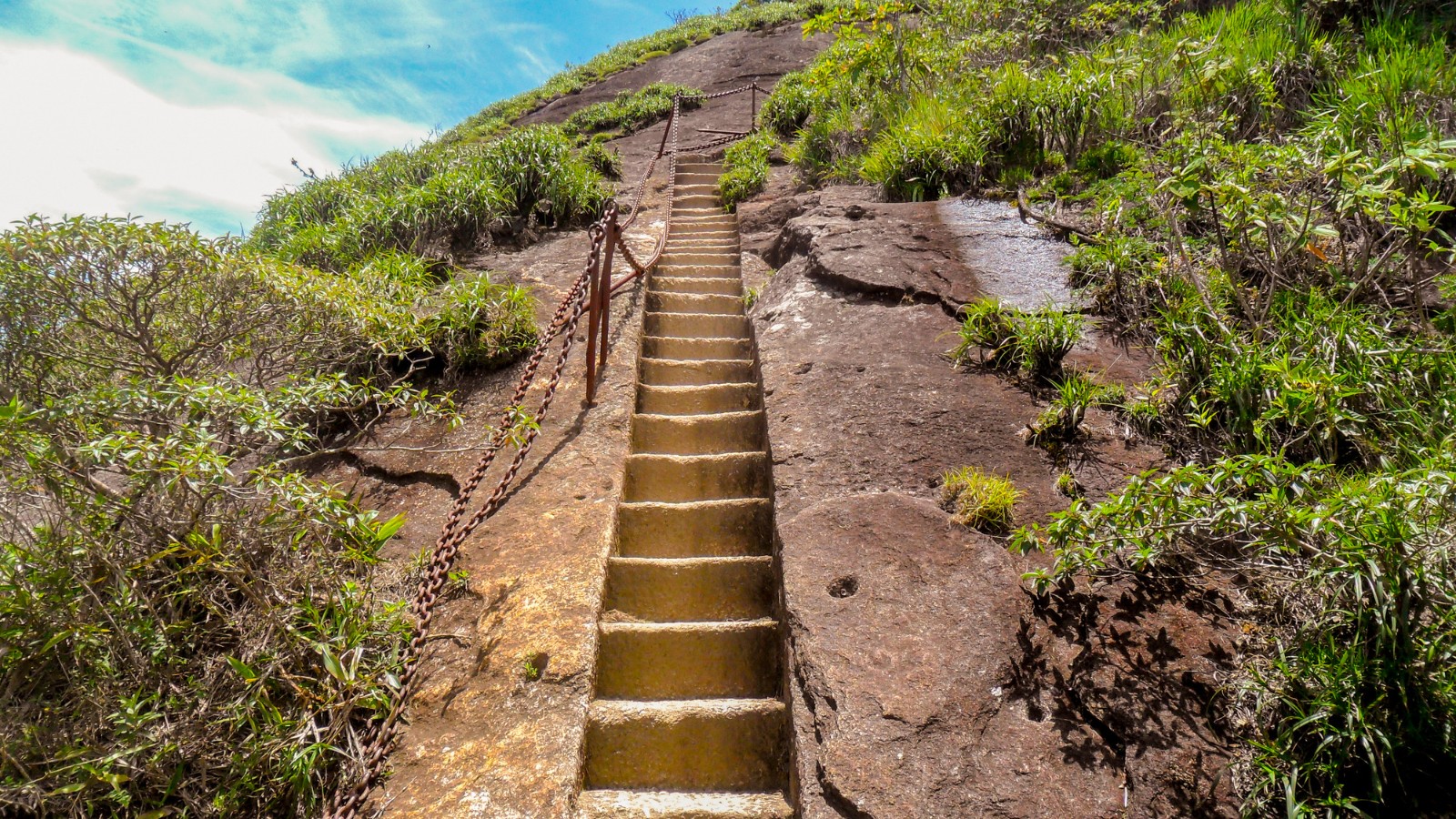 Access ladder to Tijuca peak ( Pico da Tijuca ) in Tijuca National park in Rio de Janeiro